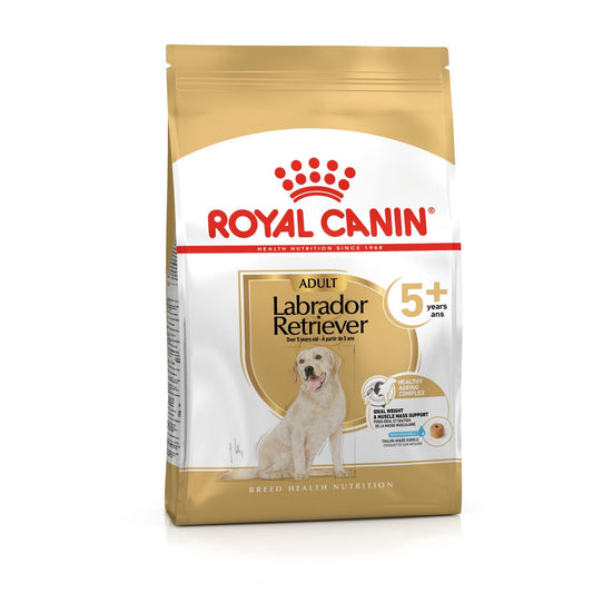 Royal Canin Dry Labrador Retriever Adult 5+ Complete feed for dogs