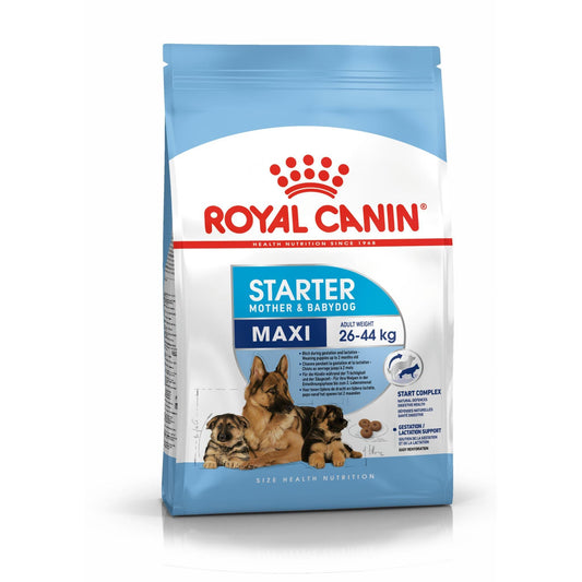 Royal Canin Dry Maxi Starter Complete feed for dogs