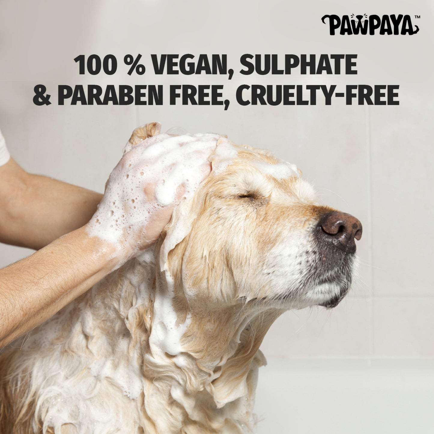 Pawpaya Waterless Shampoo