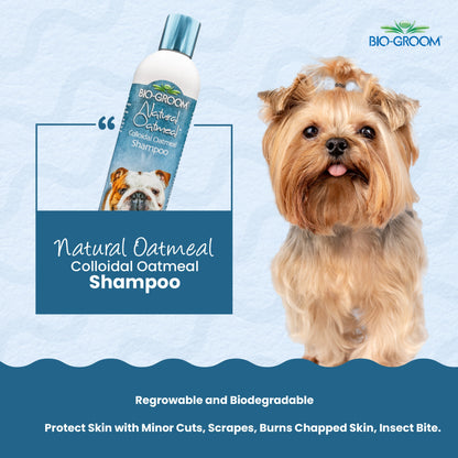 Bio-Groom, Natural Oatmeal Colloidal Shampoo