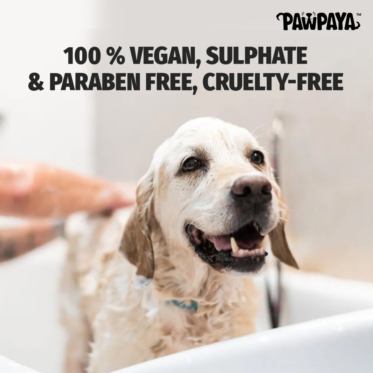 Pawpaya Pawpaya Anti-Itch Shampoo