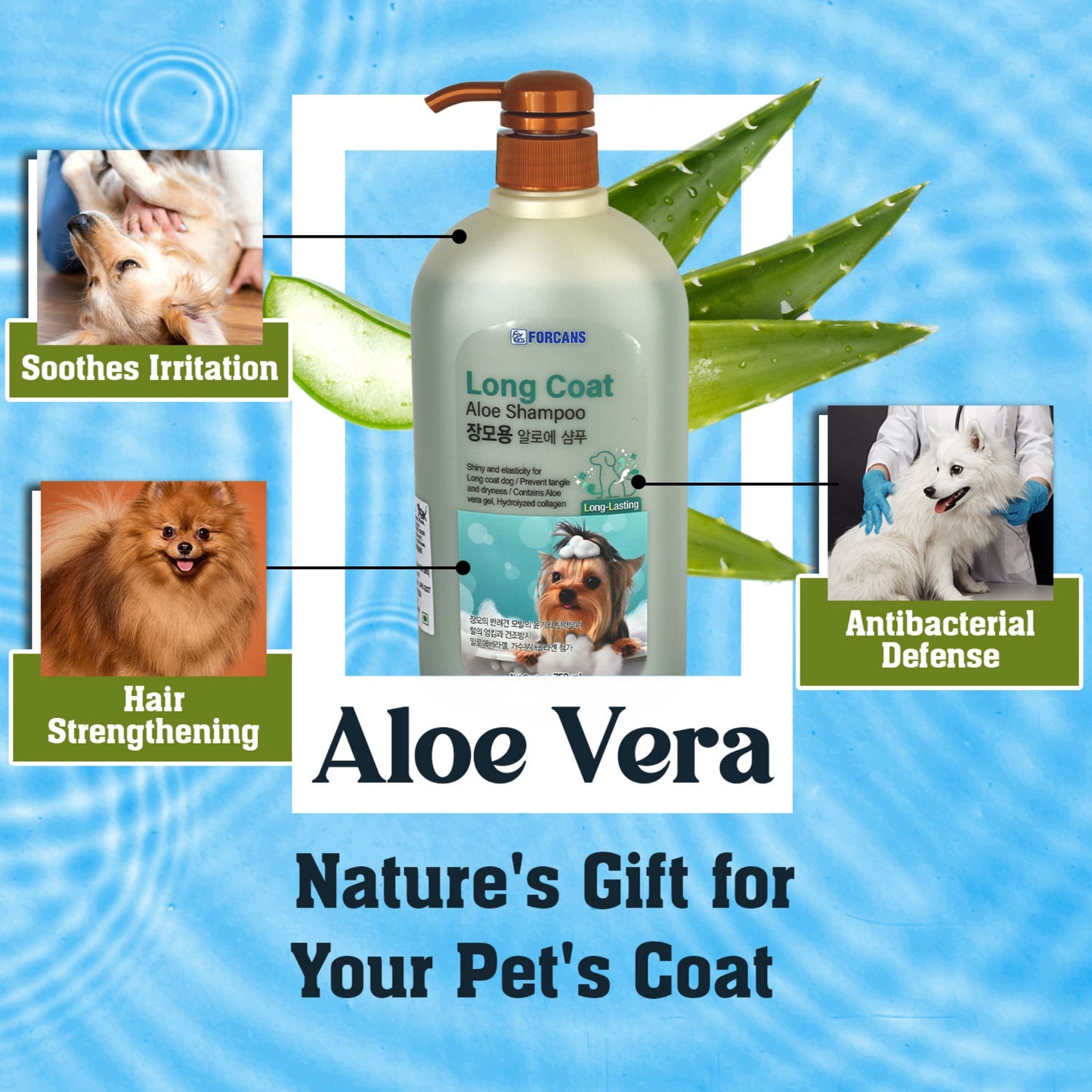 Forbis Long Coat Aloe Shampoo