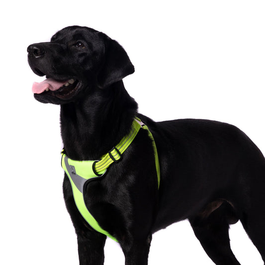 TRUELOVE Step-in Harness with 3M For Dogs - Rufftail