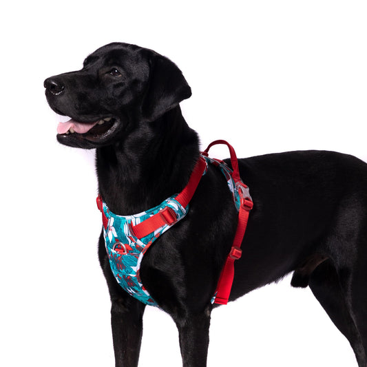 Truelove No-Pull Special Edition Harness For Dogs - Rufftail