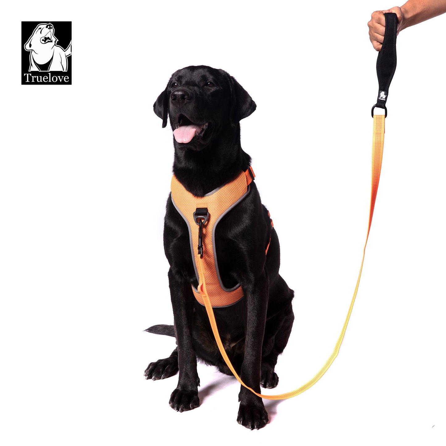 TRUELOVE Nylon Leash For Dogs - Rufftail