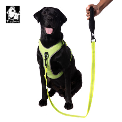 TRUELOVE Nylon Leash For Dogs - Rufftail