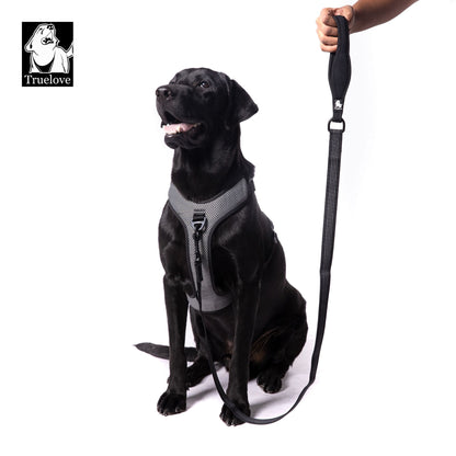 TRUELOVE Nylon Leash For Dogs - Rufftail