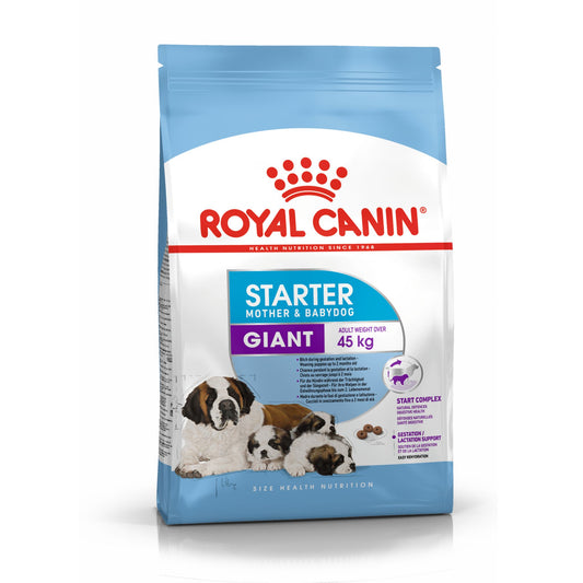 Royal Canin Dry Giant Starter Complete feed for dogs