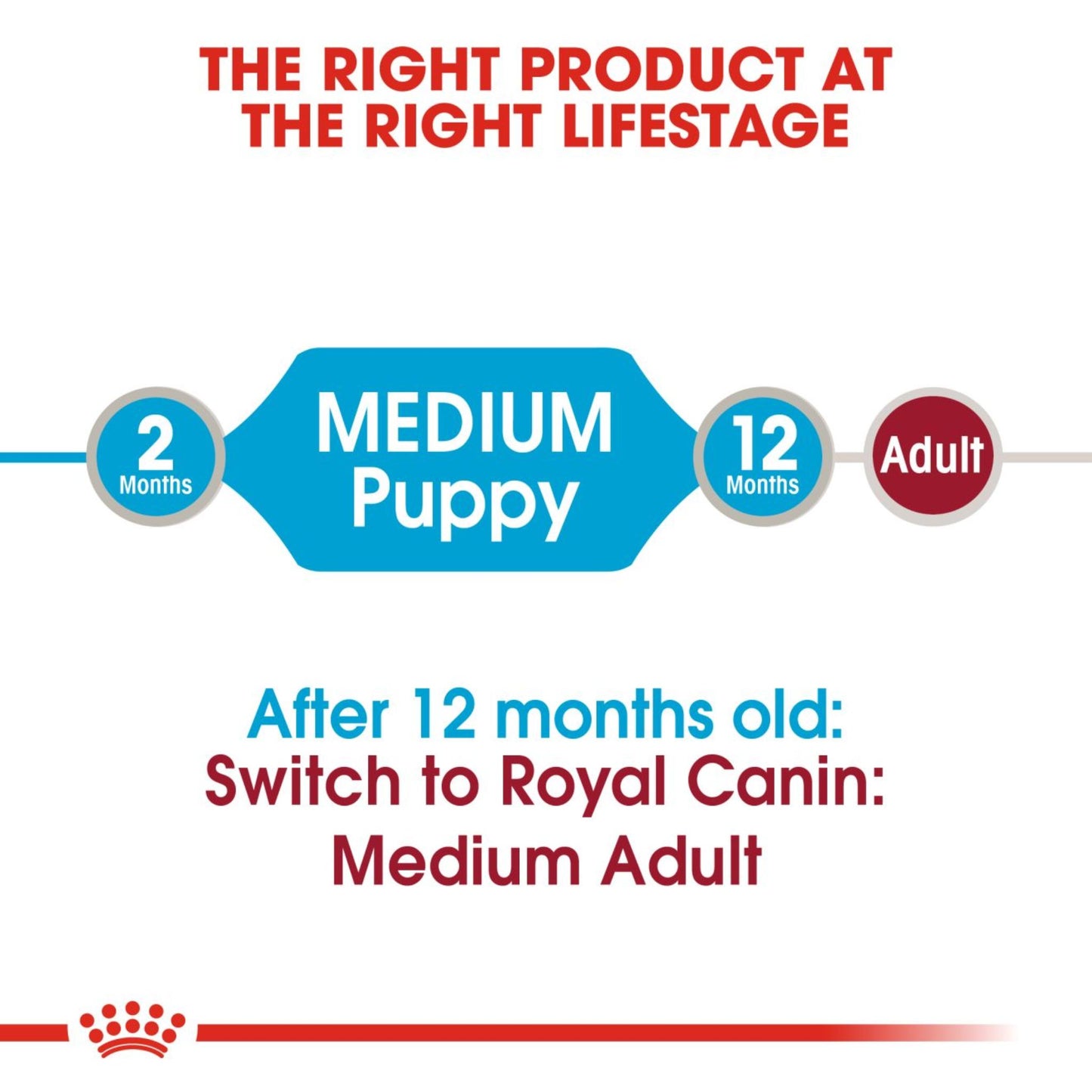 Royal Canin Wet Medium Puppy Dog Complete feed for Dogs