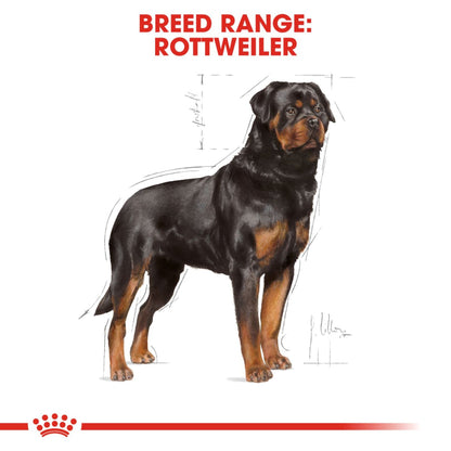 Royal Canin Dry Rottweiler Adult Complete feed for dogs