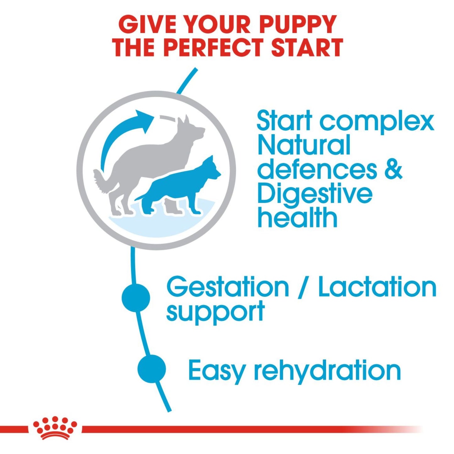 Royal Canin Dry Maxi Starter Complete feed for dogs