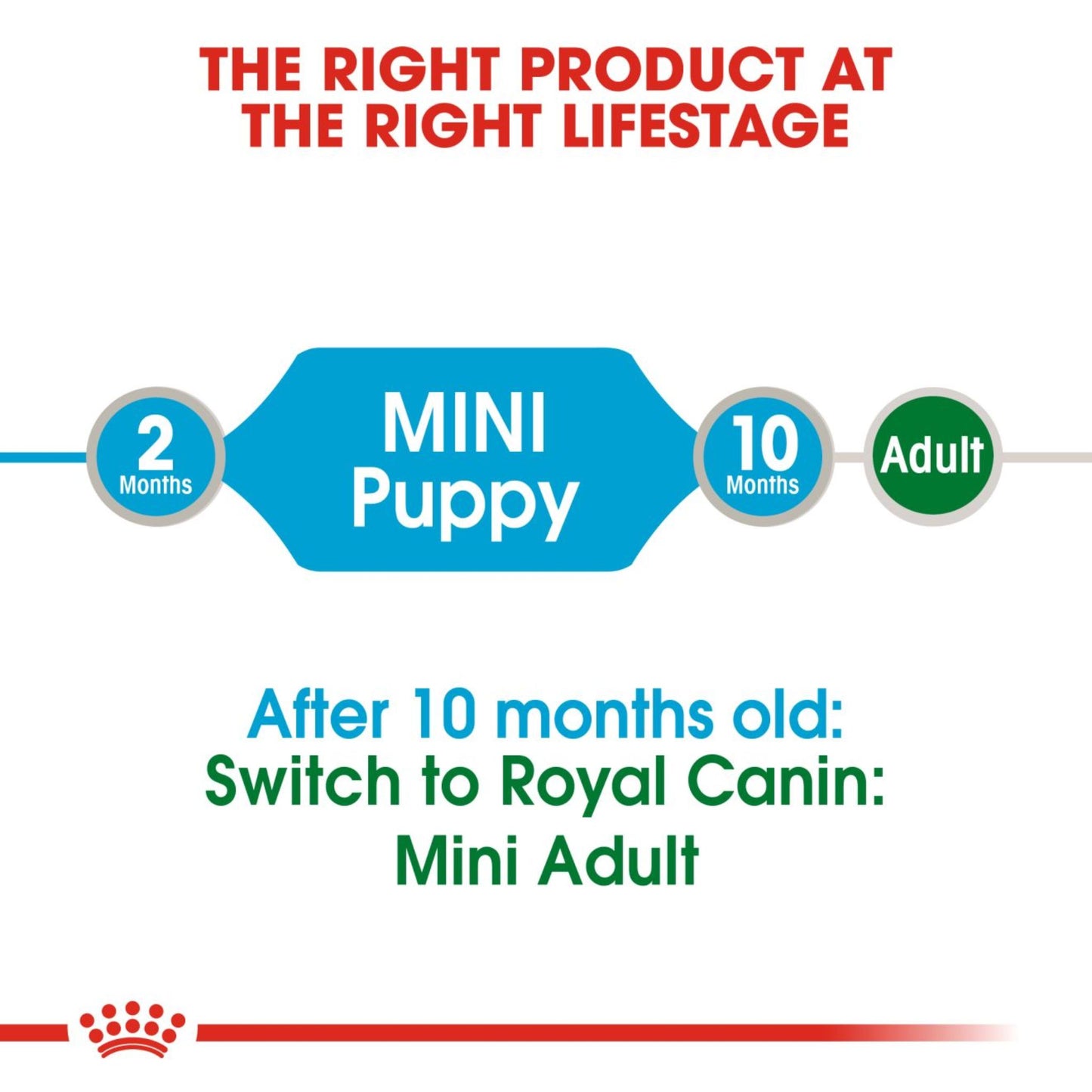 Royal Canin Wet Mini Puppy  Dog Complete feed for Dogs