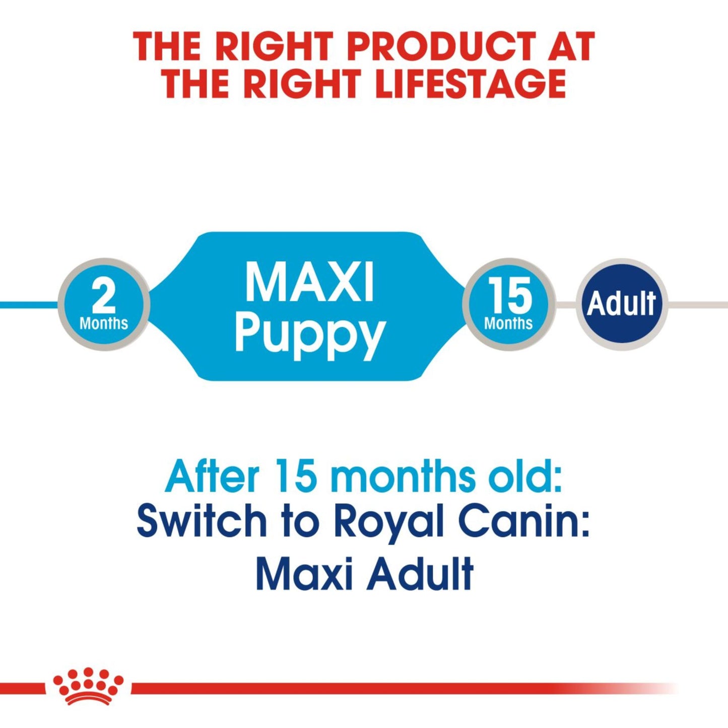 Royal Canin Wet Maxi Puppy  Dog Complete feed for Dogs