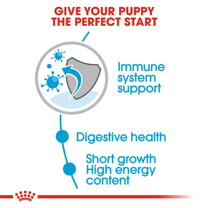 Royal Canin Wet Medium Puppy Dog Complete feed for Dogs