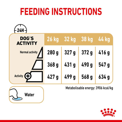 Royal Canin Dry German Shepherd 5+ Complete feed for dogs