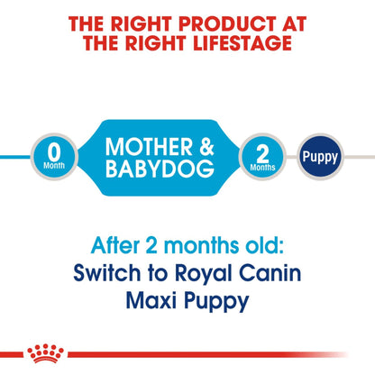 Royal Canin Dry Maxi Starter Complete feed for dogs