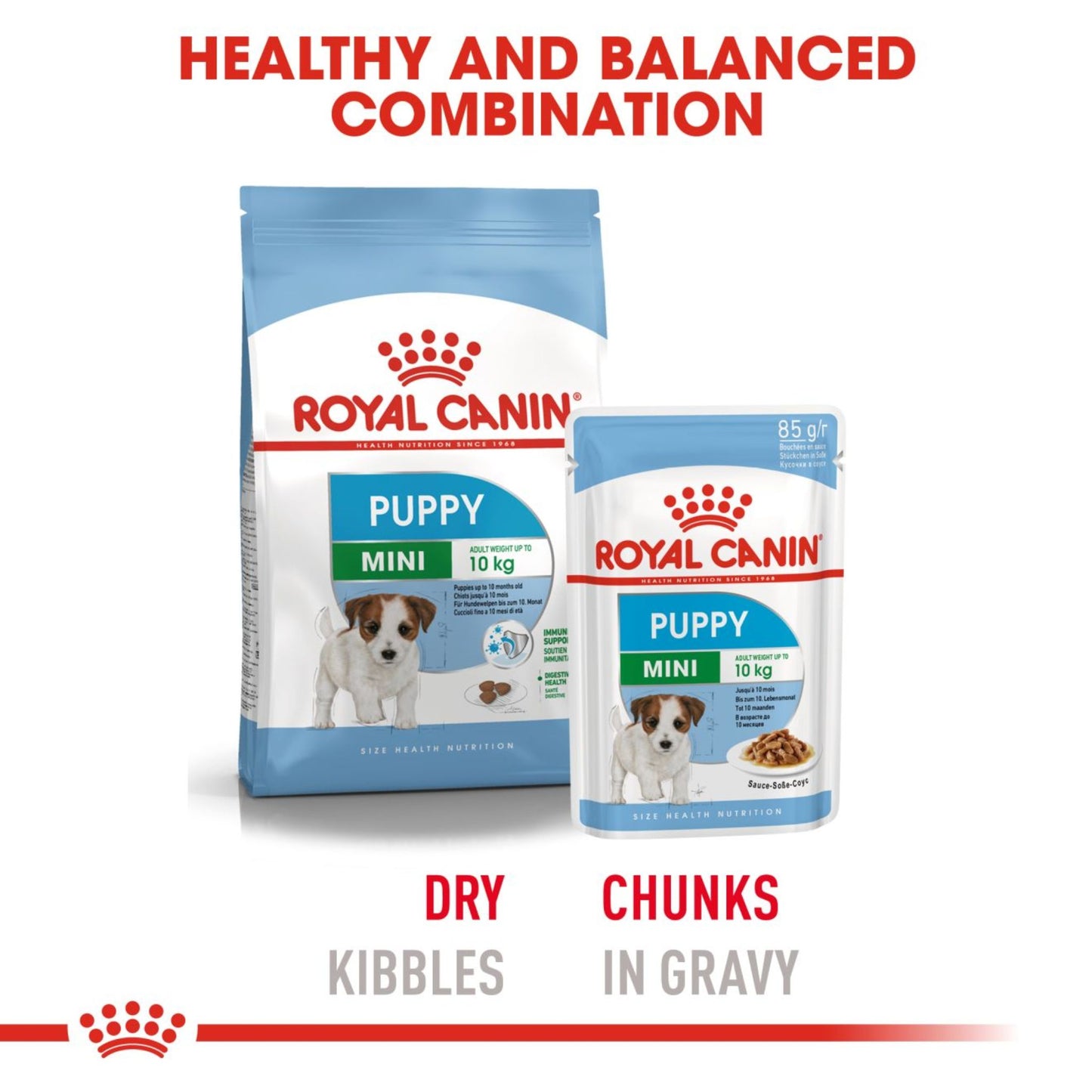 Royal Canin Wet Mini Puppy  Dog Complete feed for Dogs