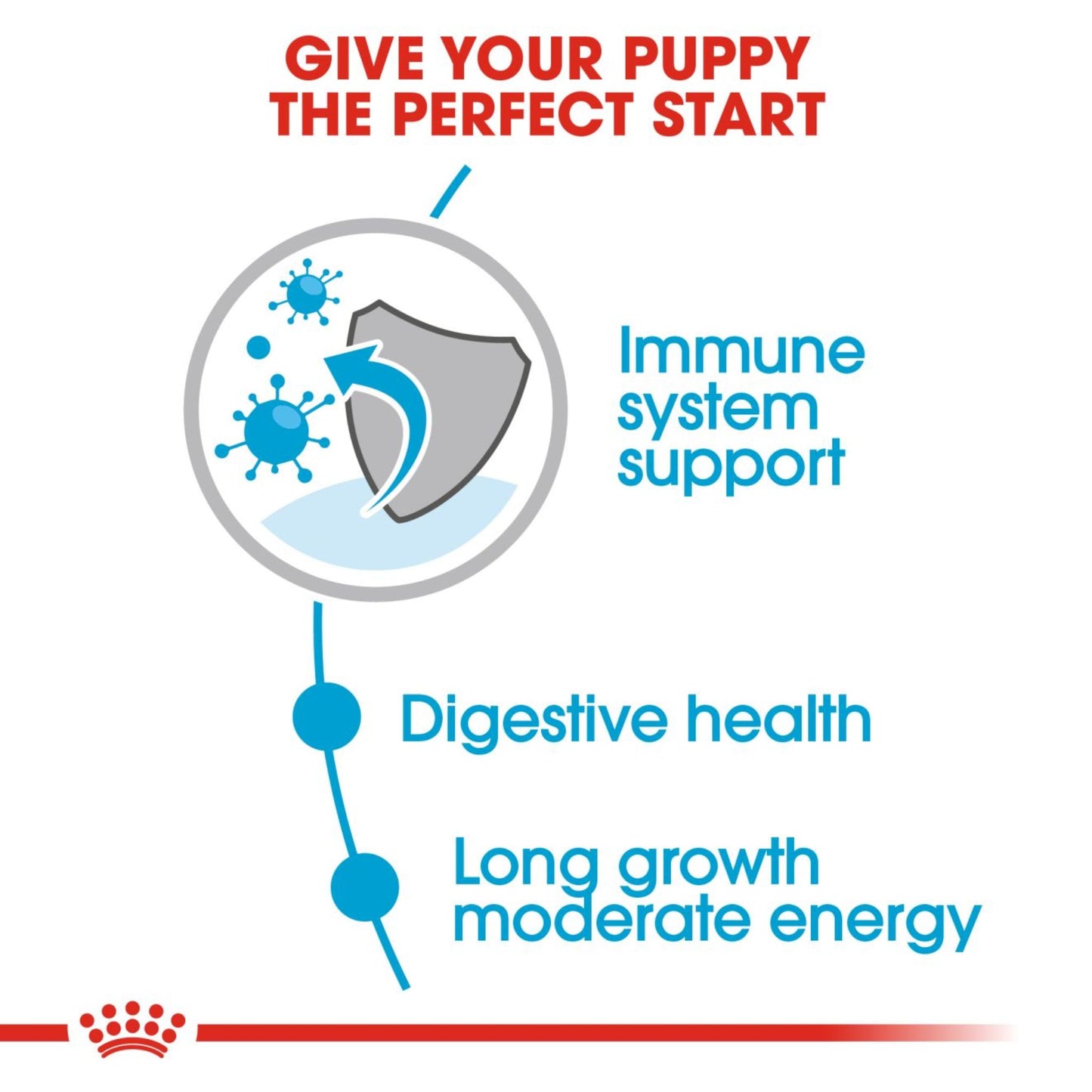 Royal Canin Wet Maxi Puppy  Dog Complete feed for Dogs