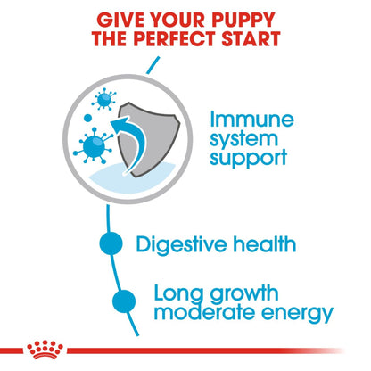 Royal Canin Wet Maxi Puppy  Dog Complete feed for Dogs