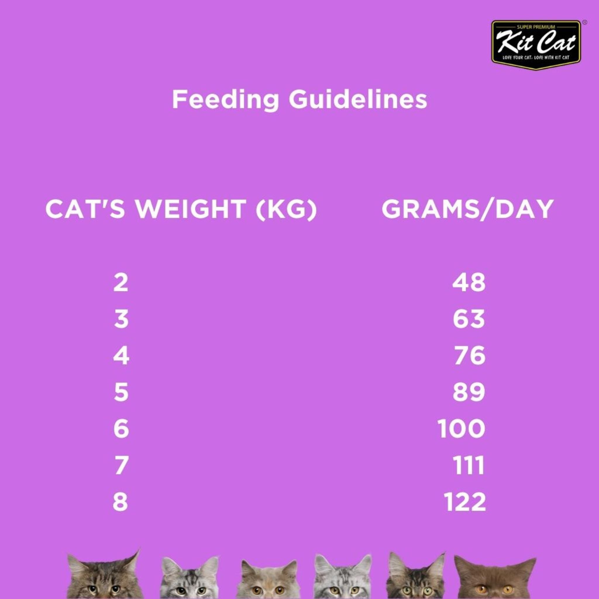 Kit Cat Premium Cat Food Chicken Cuisine For Cats