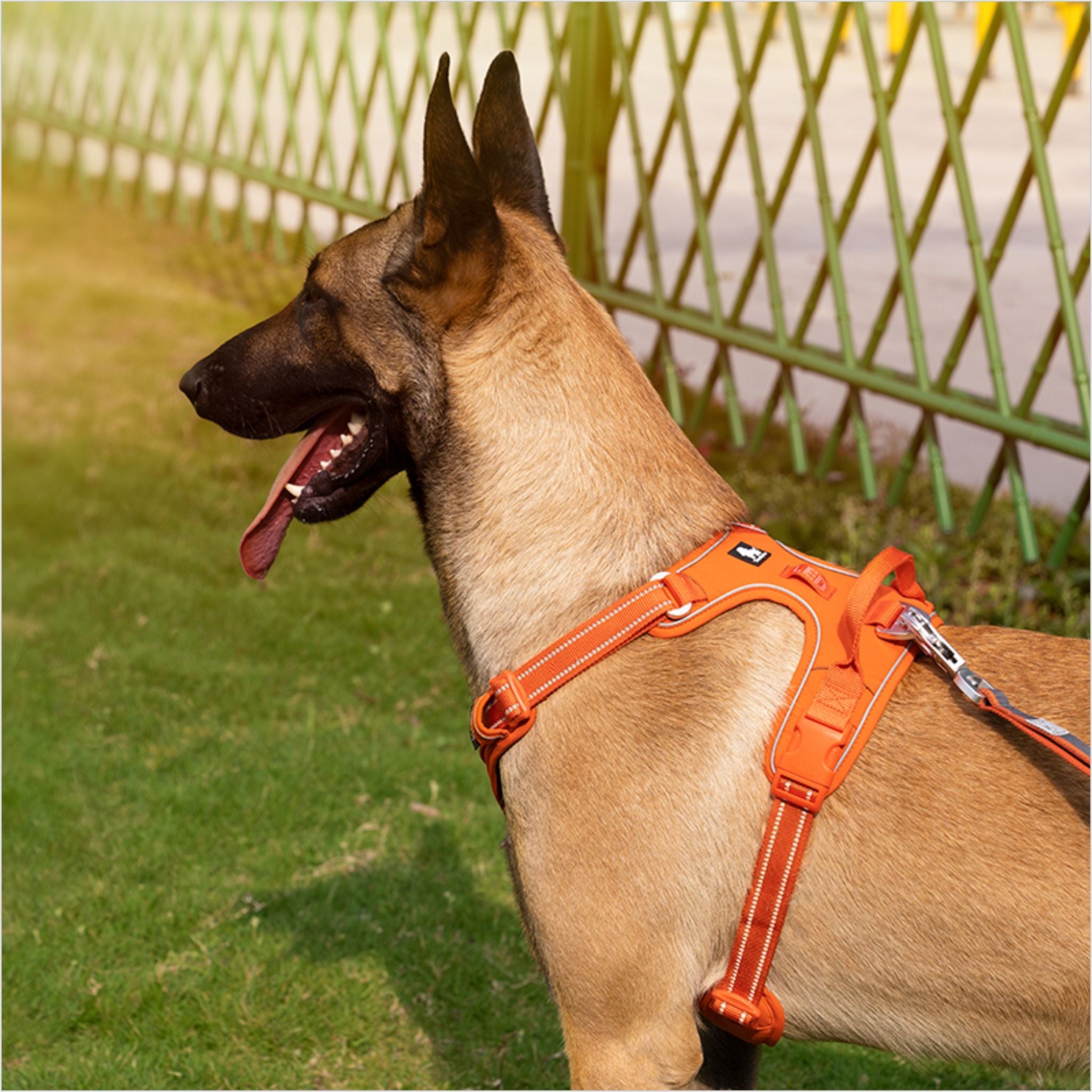 TRUELOVE NO PULL CORDURA HARNESS For Dogs - Rufftail