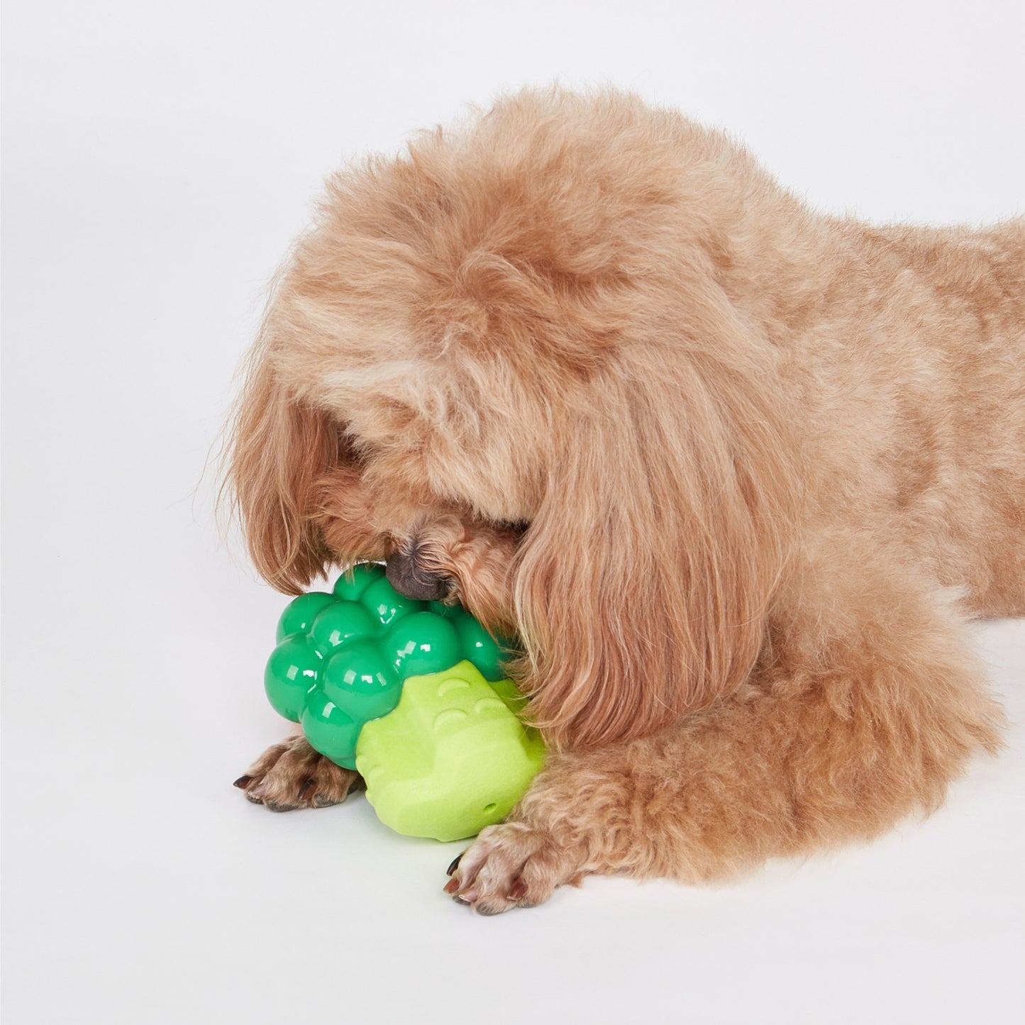 FOFOS Giggling Vegi-Bites Dog Toy Broccoli