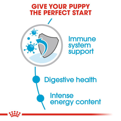 Royal Canin Wet Mini Puppy  Dog Complete feed for Dogs