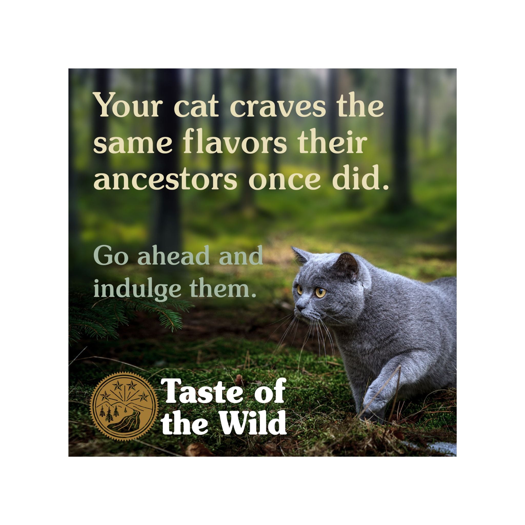 Taste of the Wild Dry Cat Food Canyon River Feline (Trout And Smoke Salmon) 2-Kg For Cats