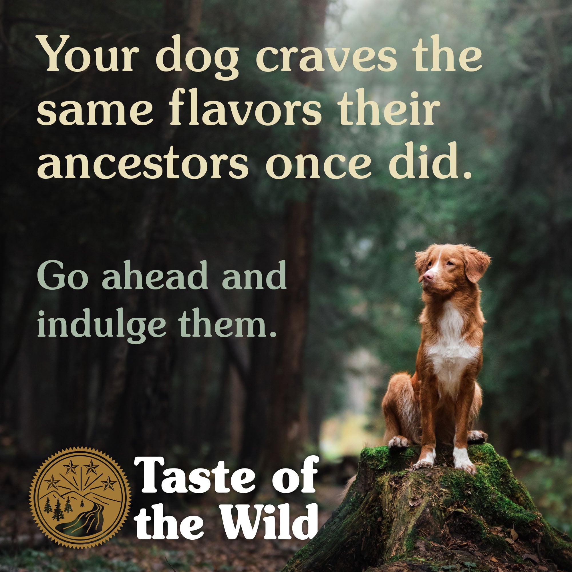 Taste of the Wild Dry Dog Food Wetlands Canine (Wild Fowl) For Dogs