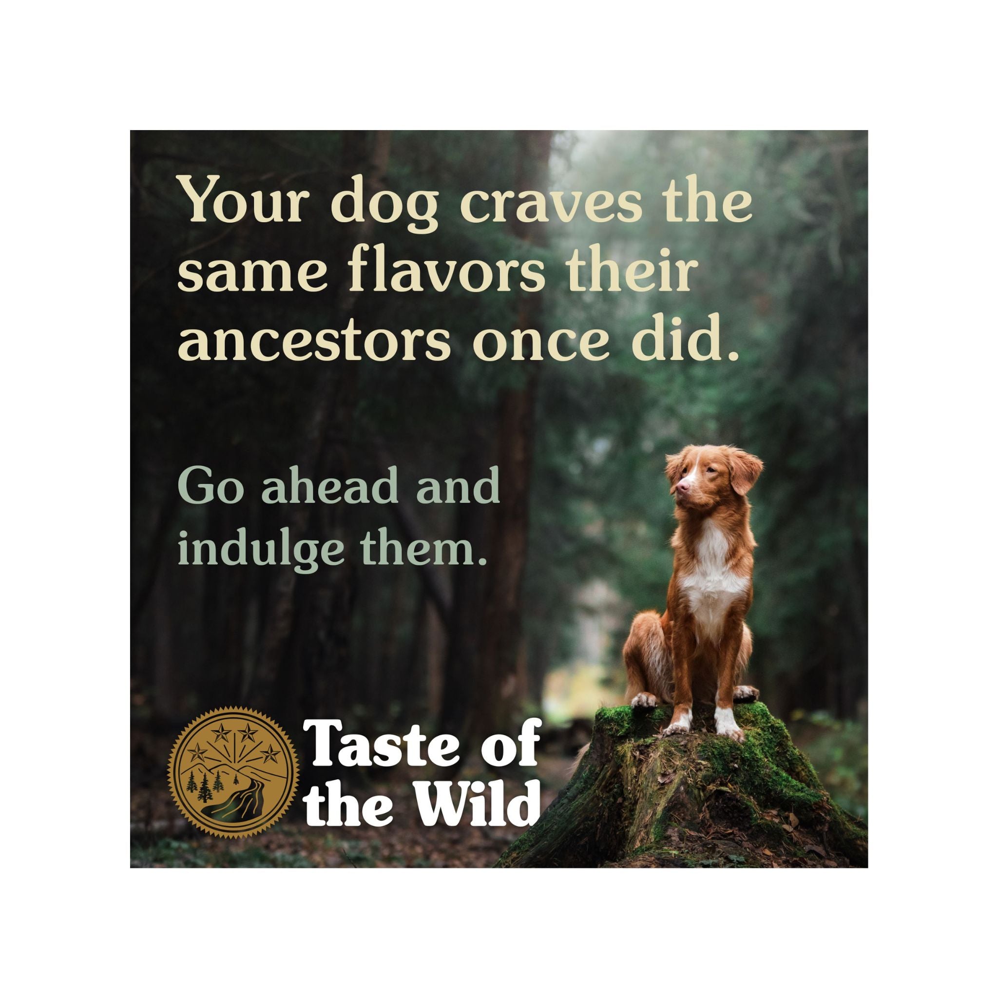 Taste of the Wild Dry Dog Food Pacific Stream Canine (Smoked Salmon) For Dogs